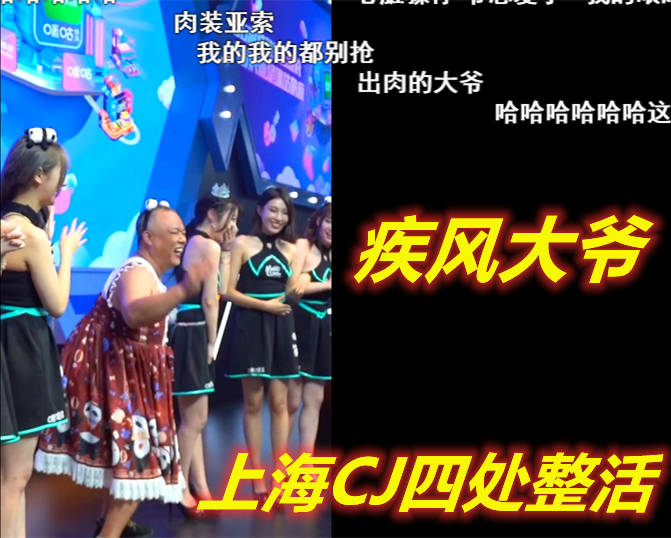七星彩综合走势图综势合版，探索与解读