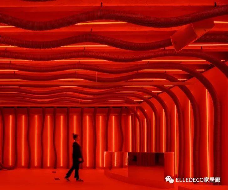 福彩3D一句定三码晚秋，探索彩票世界的神秘与魅力