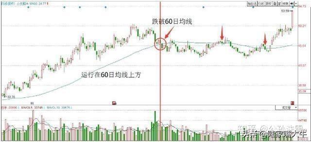 揭秘筹码分布图，如何洞察主力出逃的蛛丝马迹
