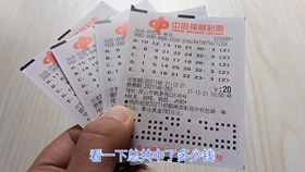双色球第66期开奖号码解析与预测