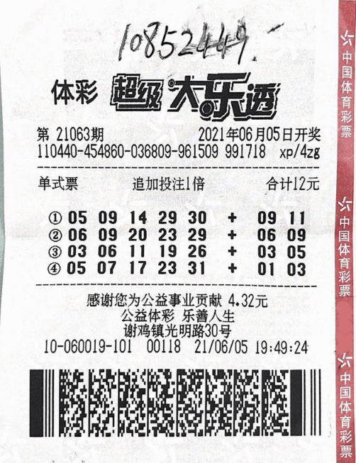 大乐透基本走势图与新浪爱彩综合图表，探索彩票的奥秘