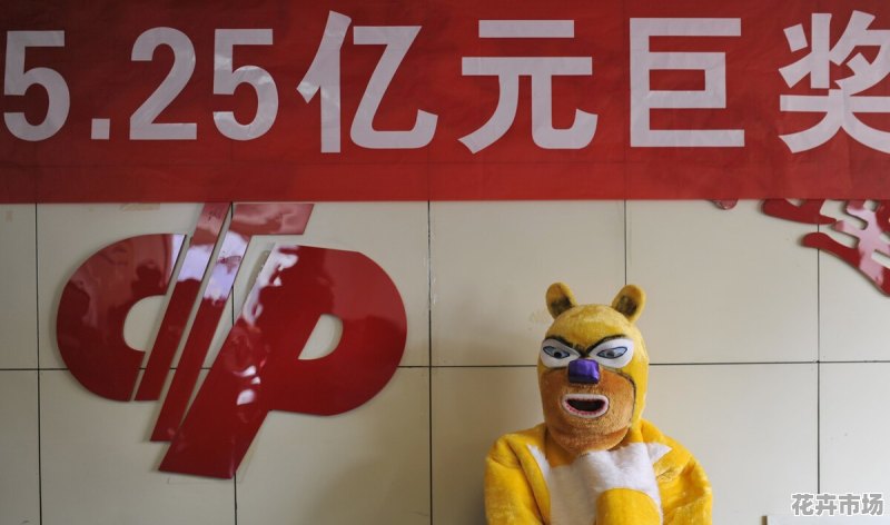 双色球今晚开机号，揭秘彩票背后的神秘面纱