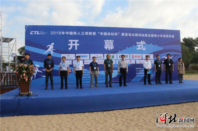 中国体彩网公告查询官网，便捷获取体彩信息的平台