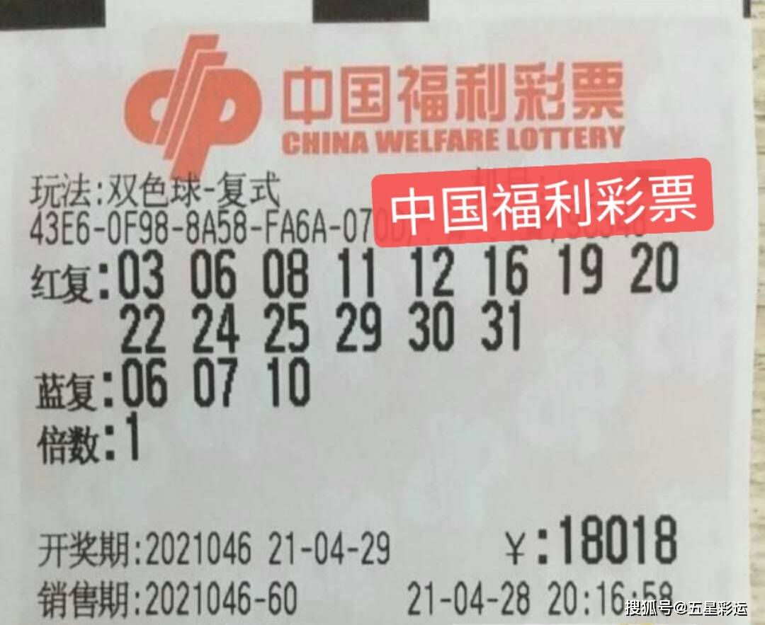 双色球复式投注，探索8+1复式投注的价格与魅力