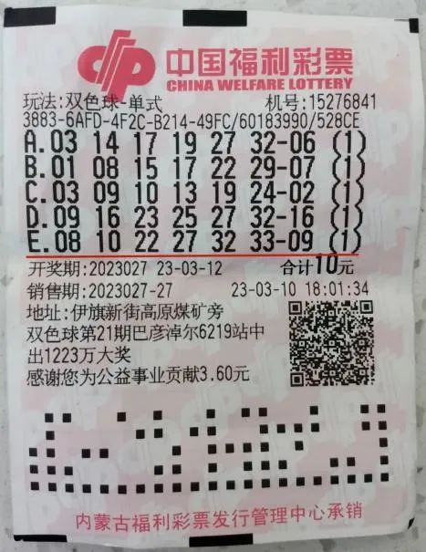 双色球机选一注号码网易，彩票玩家的新选择