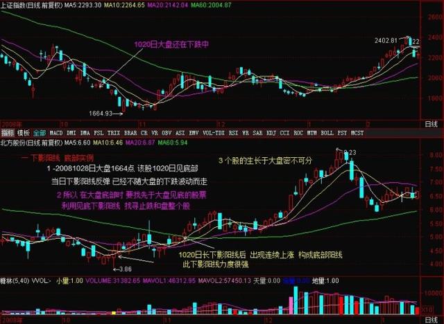 排列7预测推荐，揭秘数字世界的未来走向