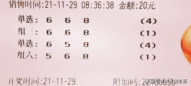 探索未来，3D神算一休三天计划与独胆策略