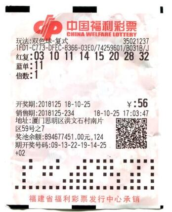 双色球彩票游戏，探索2023年10月8日的神秘数字组合