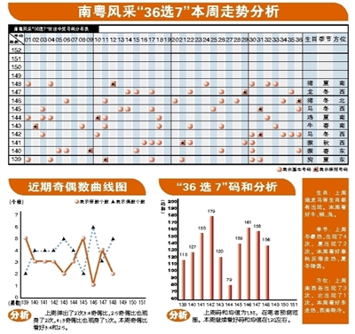 南粤风采36选7综合走势图，探索与解读