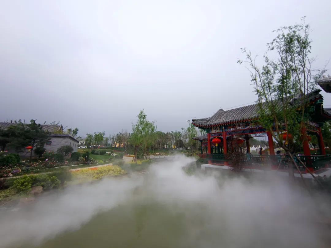双色球115期历史同期开奖深度解析