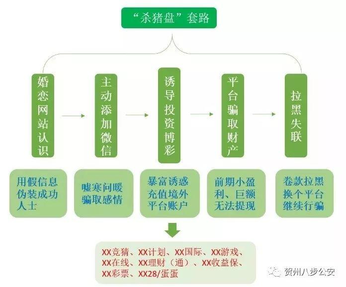 彩客吧app下载，探索彩票世界的全新体验
