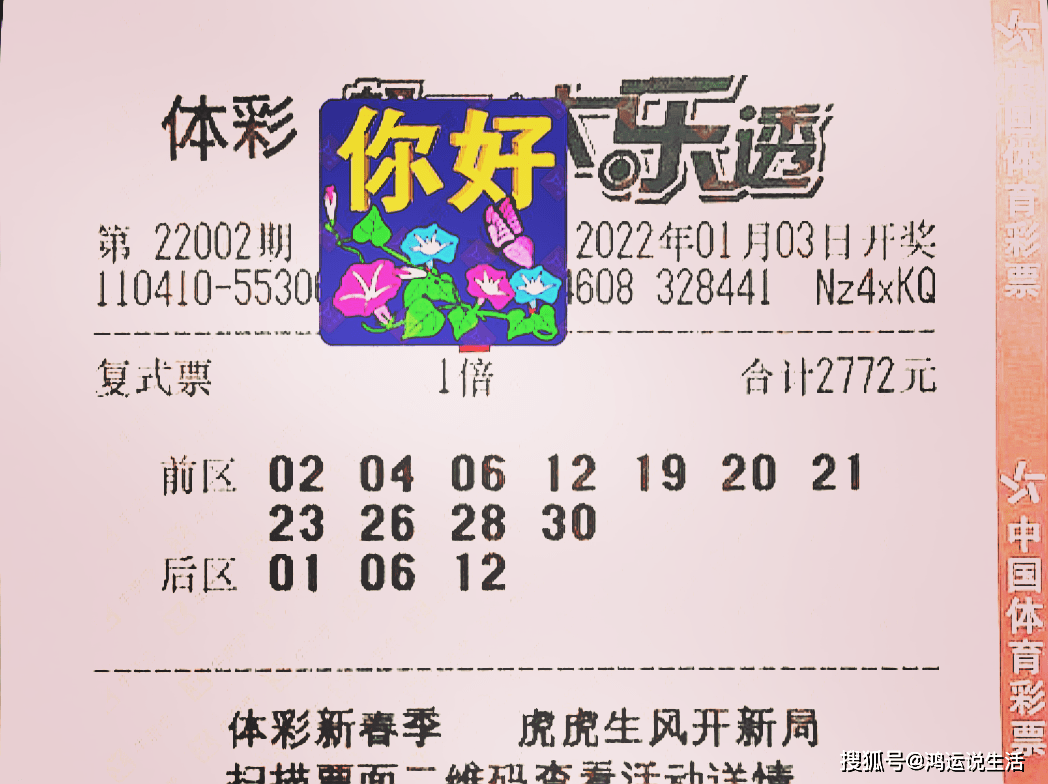 大乐透7加2一注的价格解析