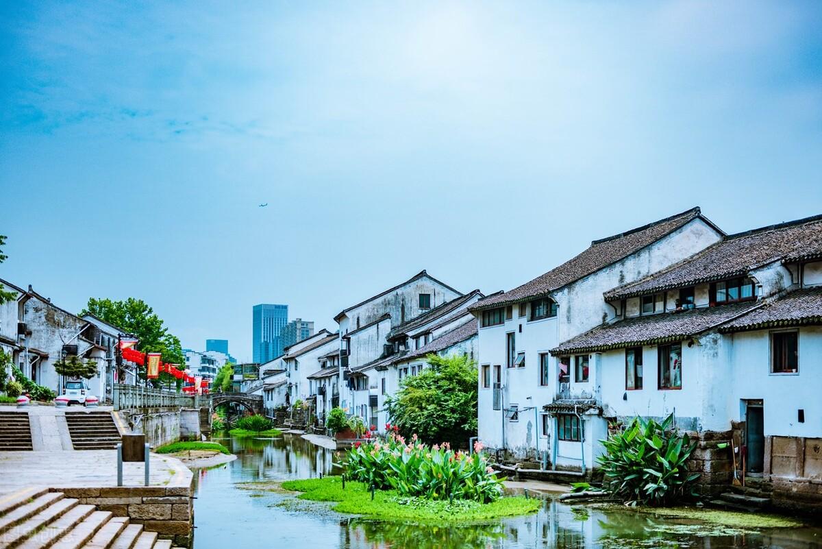 双色球周日基本走势图浙江风采的独特魅力与深度解读