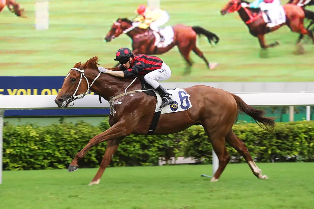 查看香港最快开奖结果，回顾香港赛马会2019年的辉煌瞬间