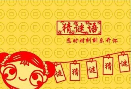 探索字谜与画谜的奥秘，3D字谜画谜总汇大全与马后炮的智慧