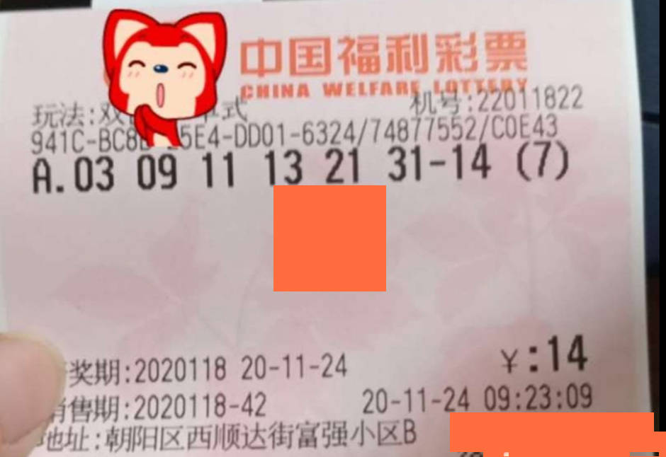 双色球第XXXX期开奖公告——揭晓幸运号码，共筑梦想之夜