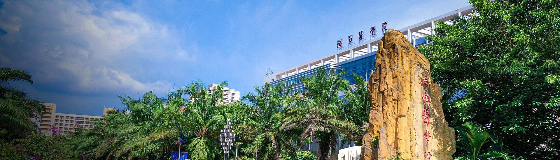 海南医学院，医学教育的璀璨明珠