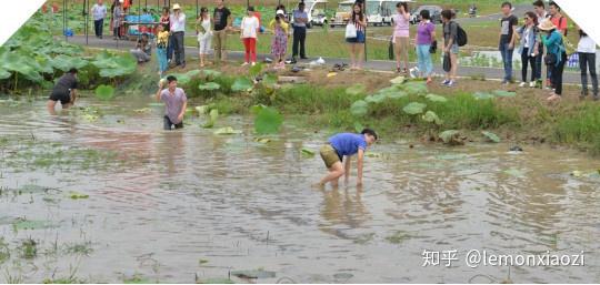 童趣盎然，捉鱼摸虾的欢乐时光