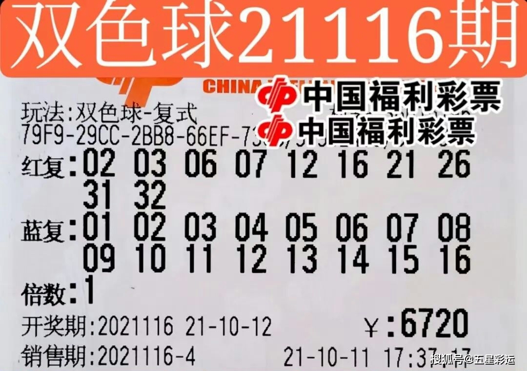 智慧与运气较量