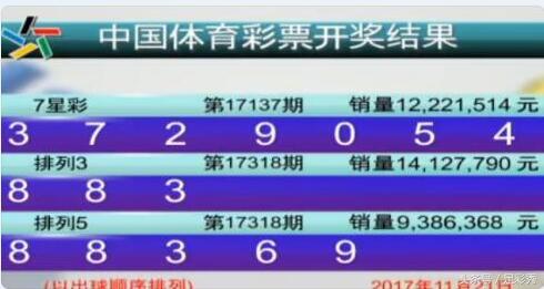 七星彩开奖号码查询结果彩宝贝，揭秘彩票背后的秘密