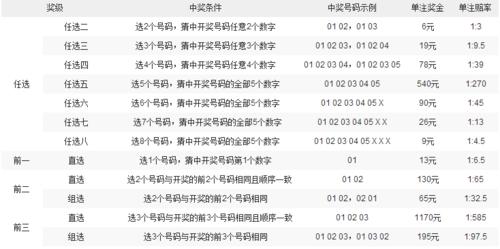 澳门十一选五开奖号码，探索与解析