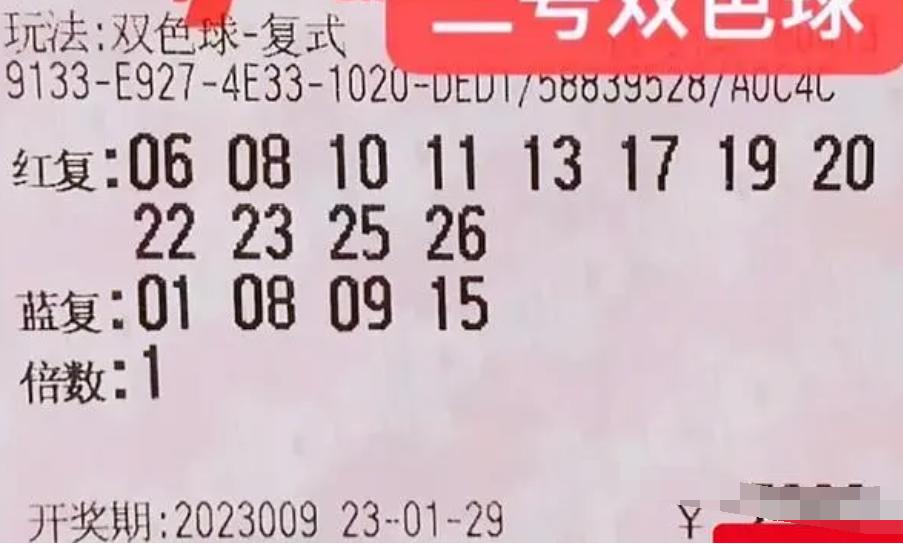 开奖号码回顾与分析