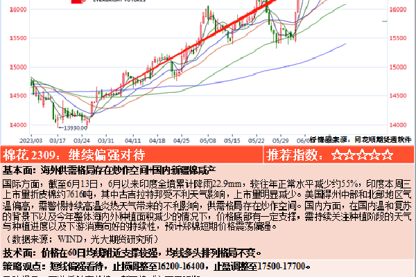 揭秘1999年3D走势图，探索数字世界的未来蓝图