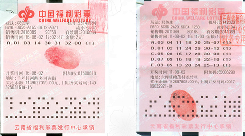 二四六天天好彩福，探索中国福利彩票的魅力与机遇二四六天天彩期期准