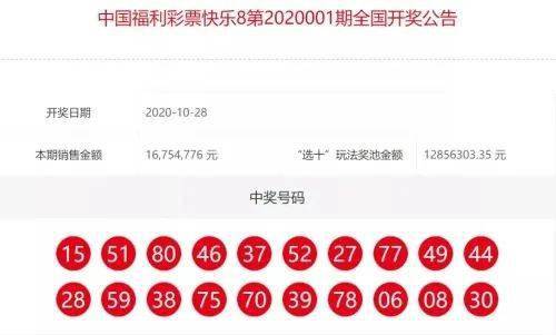 官方168开奖记录，探索数字彩票的魅力与公正性