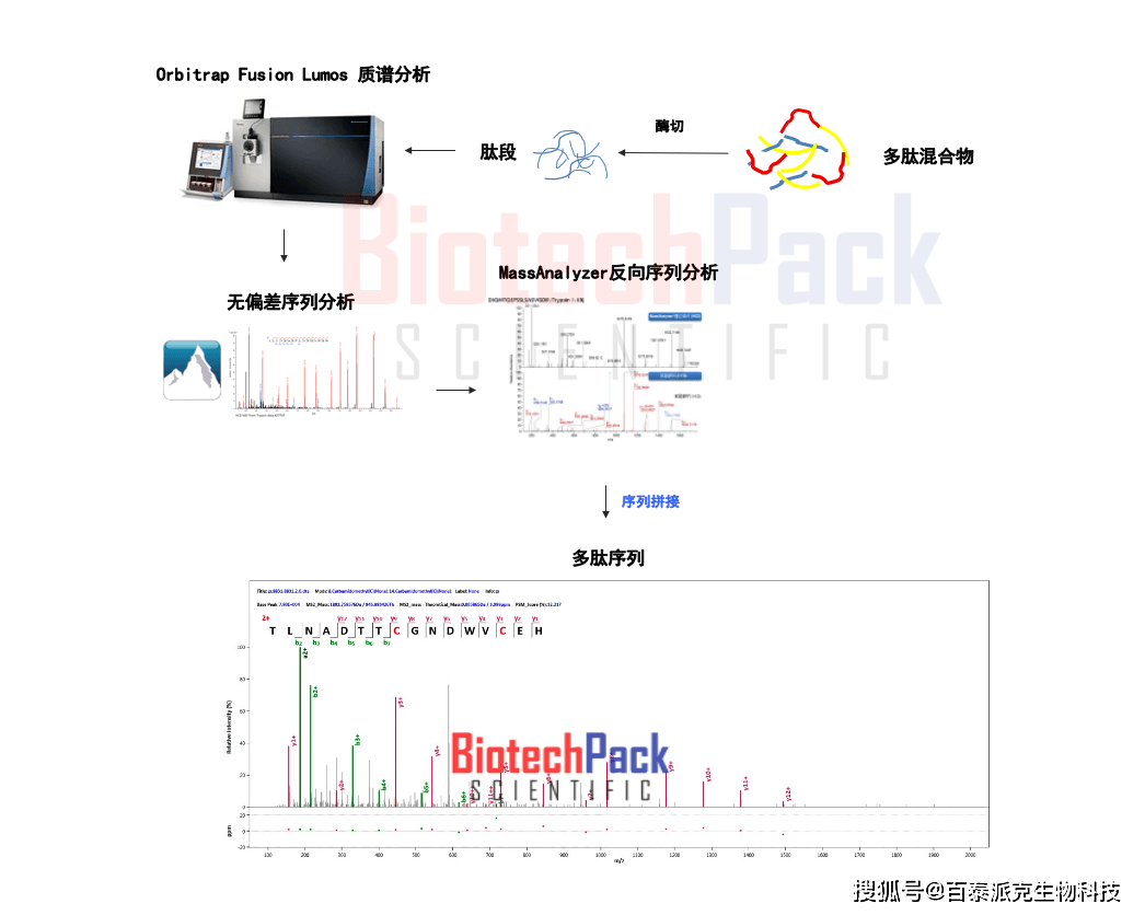 乐彩论坛的175期走势图，探索与解读彩票的奥秘