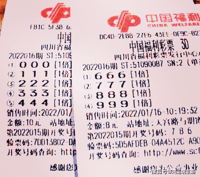 探索数字世界的新领域，3D彩民与乐天齐网的故事