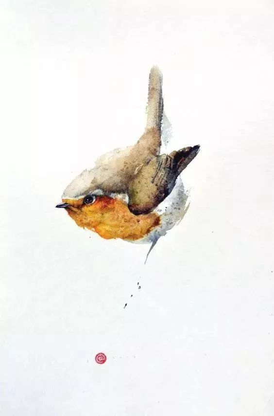 大公鸡视频，探索与启示