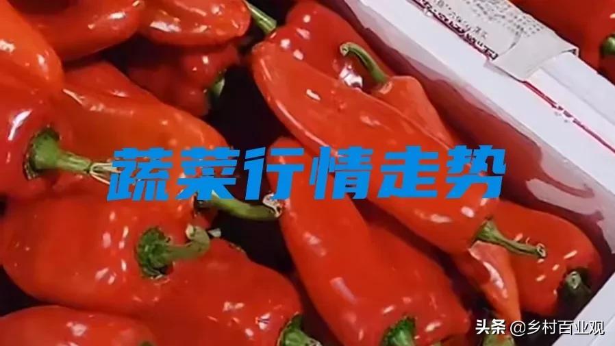 解读与探索