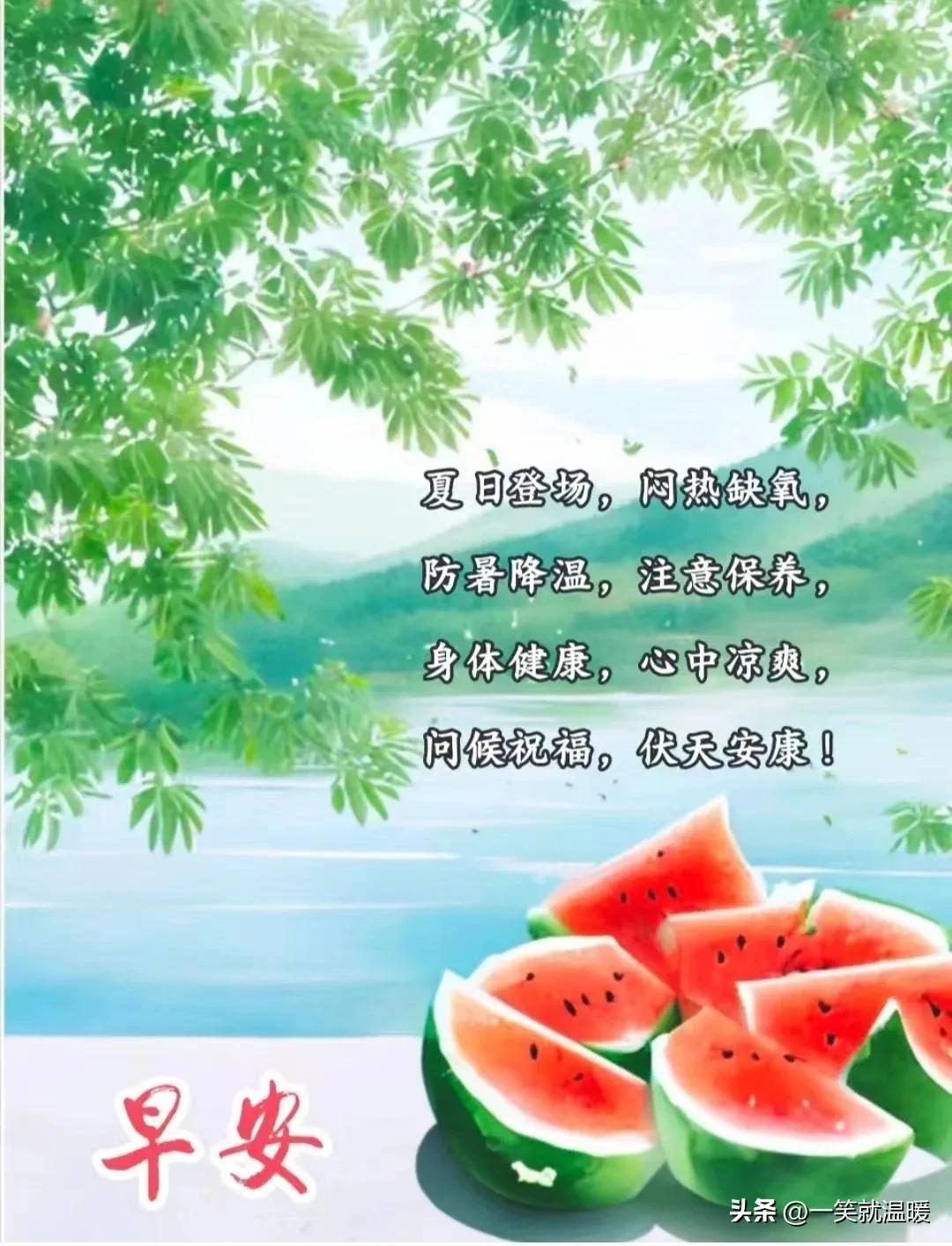 四川快乐8今日开奖结果盛大公告