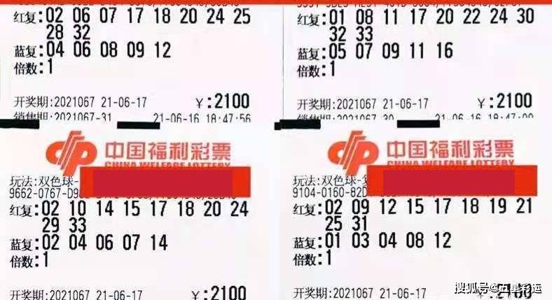 解析与应用指南