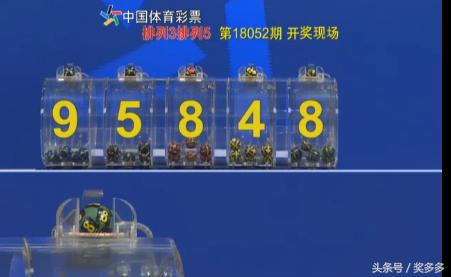 彩多多app官方网站下载，探索彩票世界的便捷通道