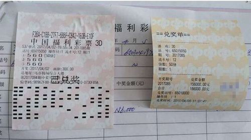 福彩3D高手论坛心水网站，探索彩票世界的智慧聚集地