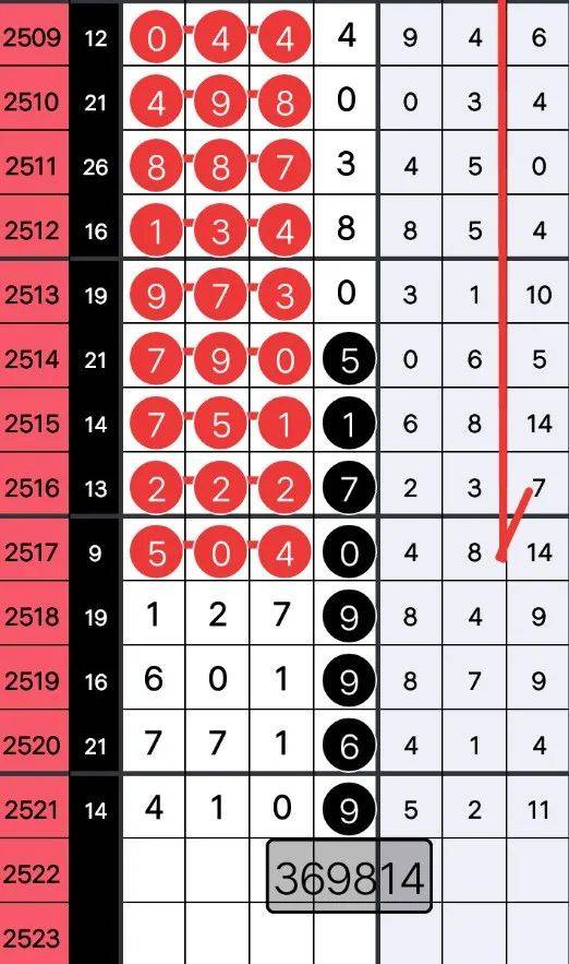 探寻神秘的数字组合，493333王中王凤凰