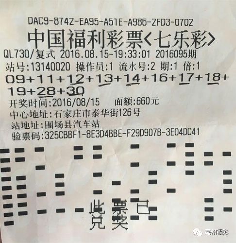 福彩三大D开奖记录，探索幸运的数字世界