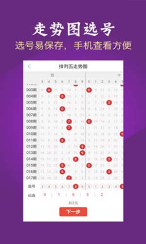 澳门彩票开奖结果查询，探索未来的幸运之门（20XX年X月期）2o24澳门今期开奖结果查询251