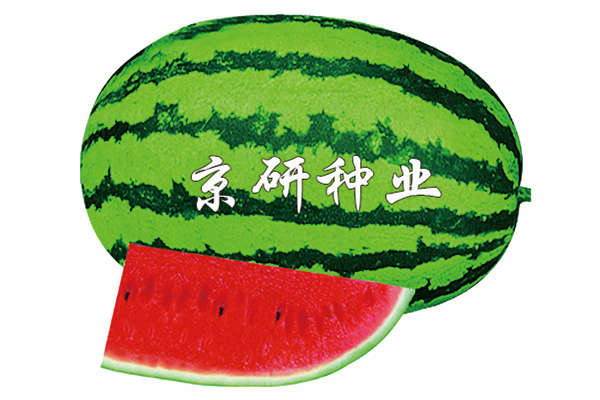 你让我懂 第70页