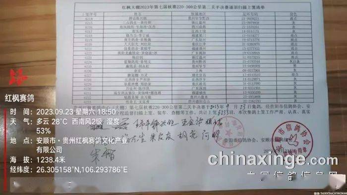 君翼赛鸽公棚秋棚最新公告