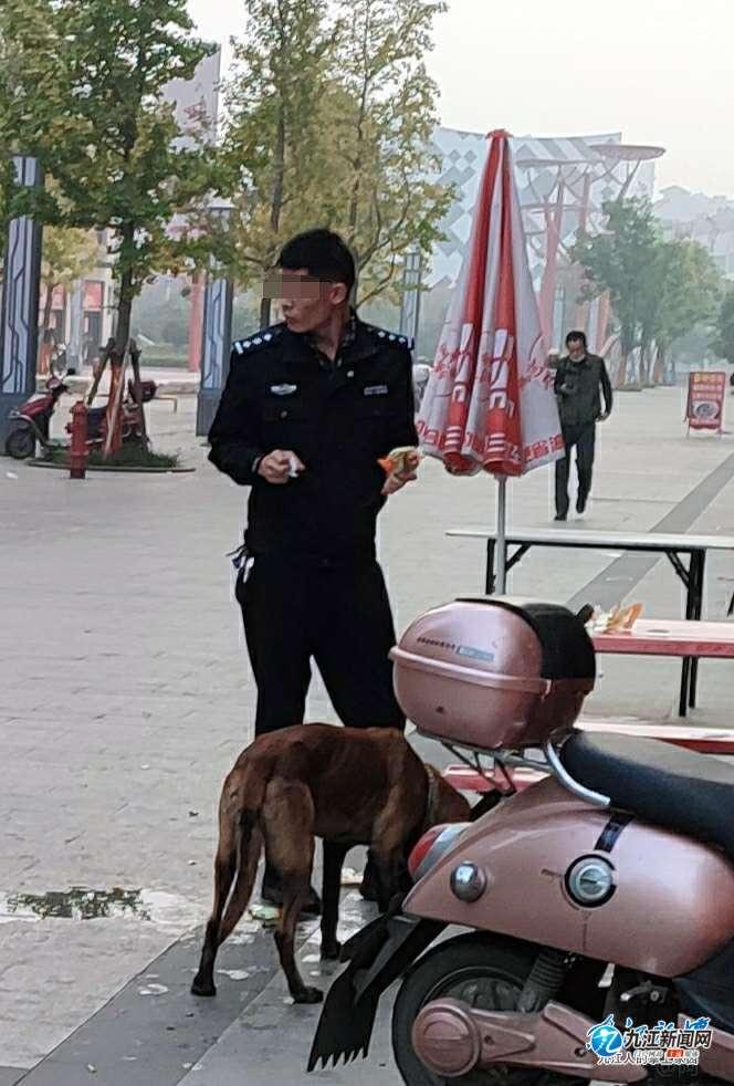 小狼狗高手论坛官网