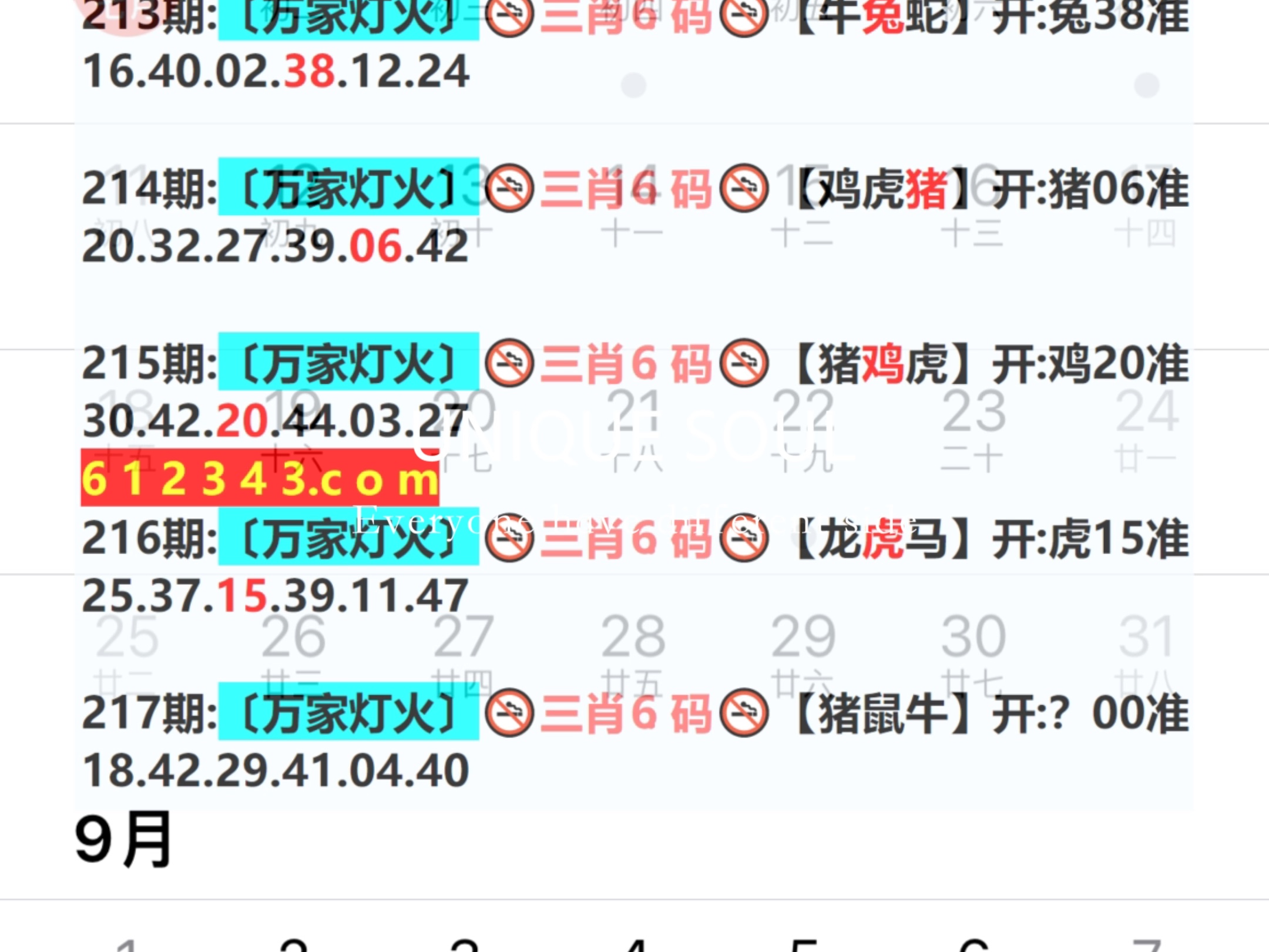 新澳门彩4949最新开奖记录新奥