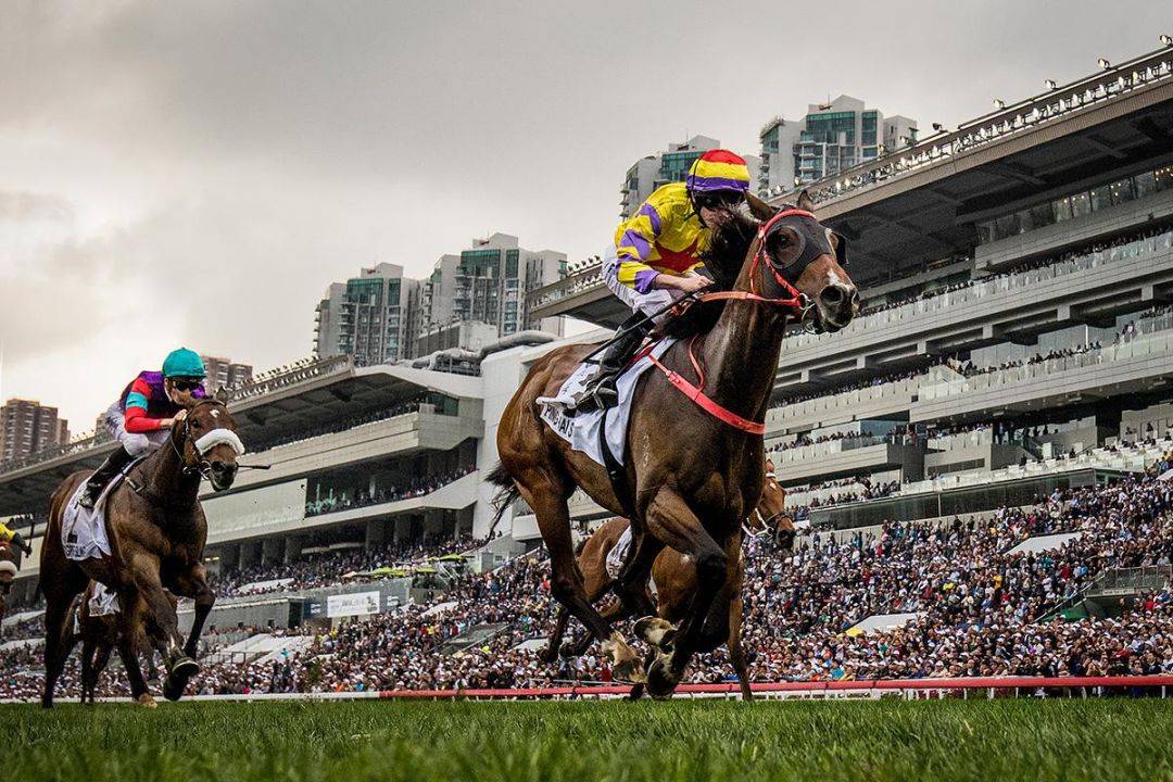 香港马会2019 开奖结果历史记录