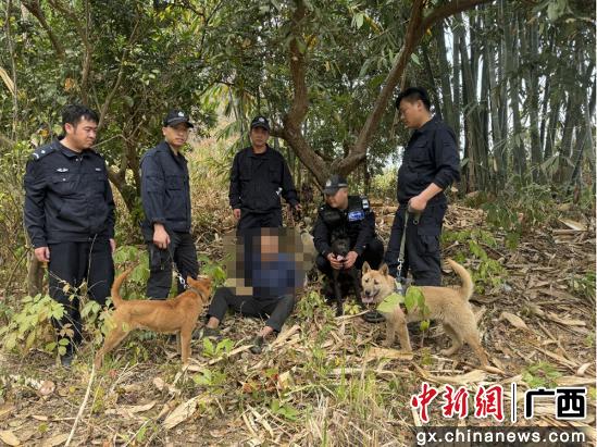 广西的狼精英主论坛12366
