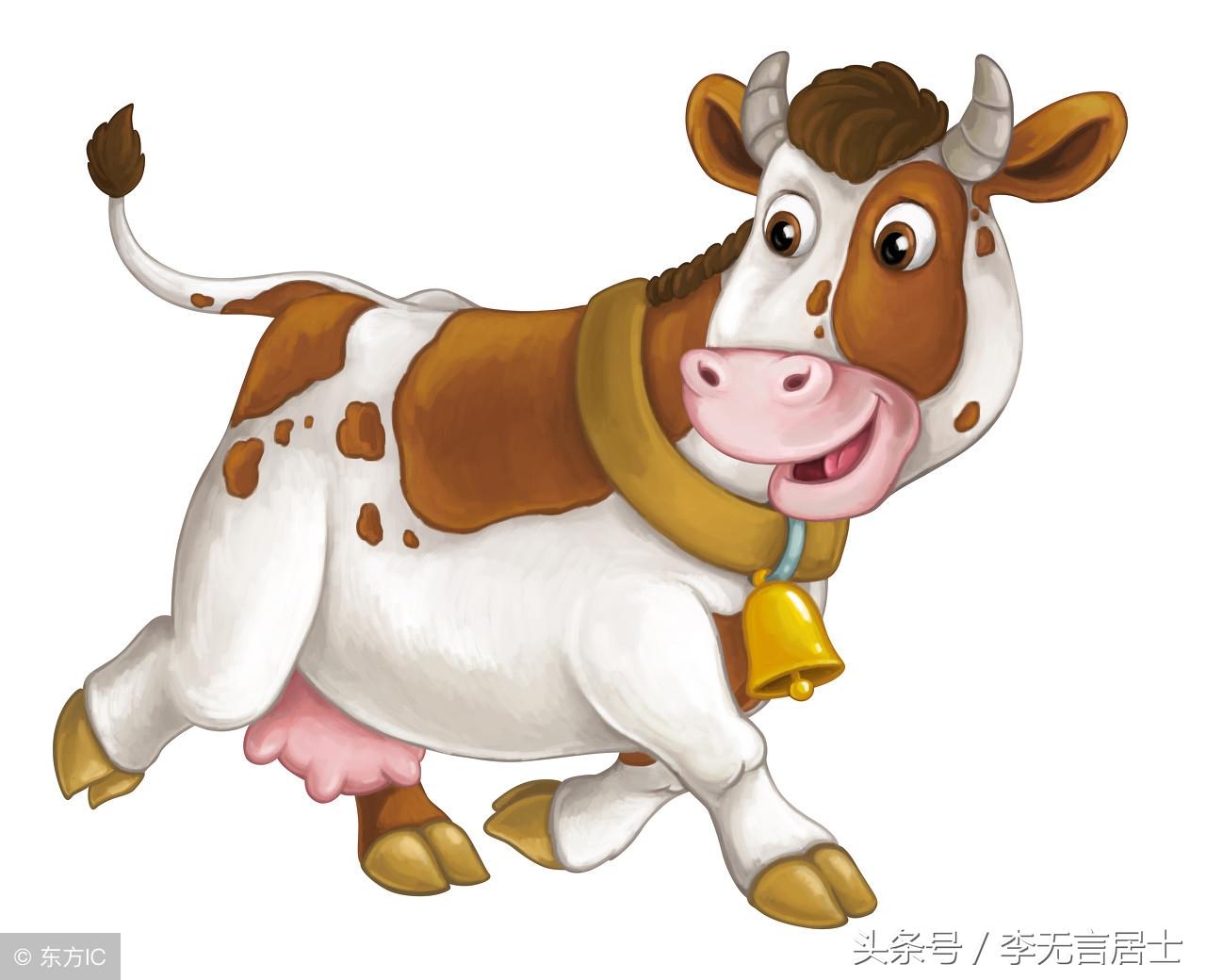 波肖门尾图库来