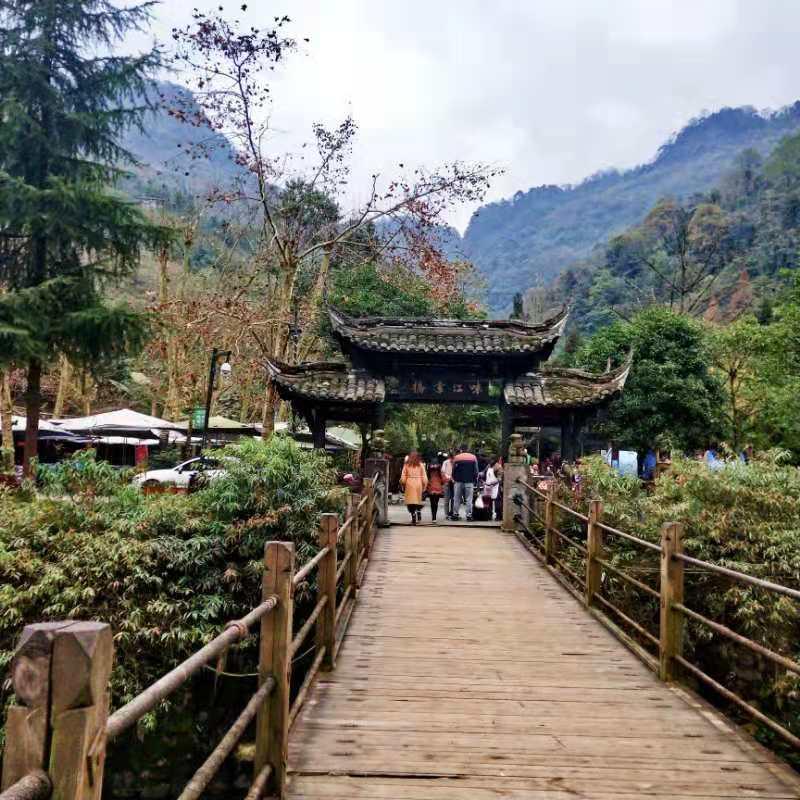 正版资料大全全年2019小说2