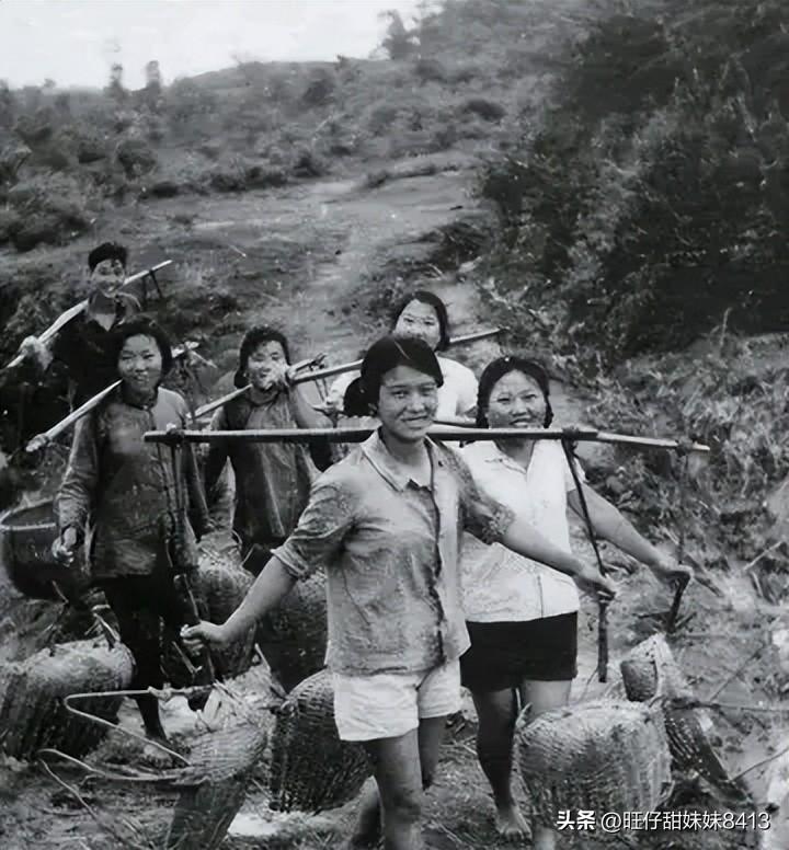 高手论坛 49图库论坛