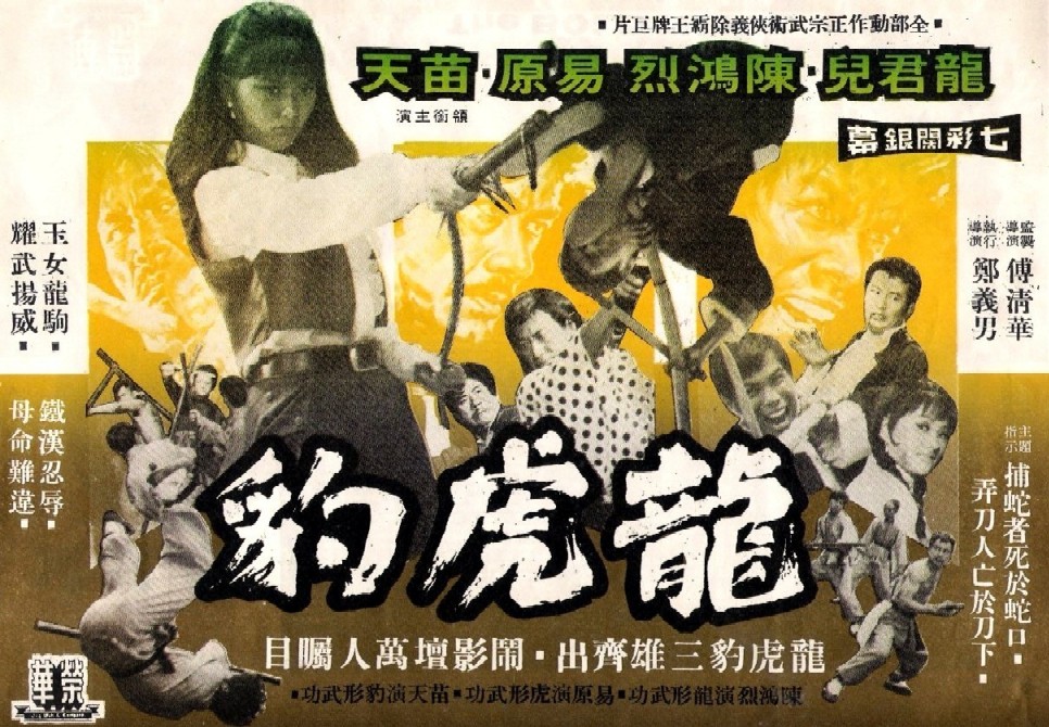 龙虎豹网站怎么看不了